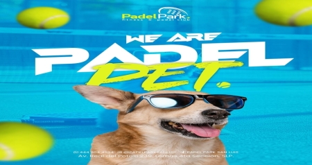 321
