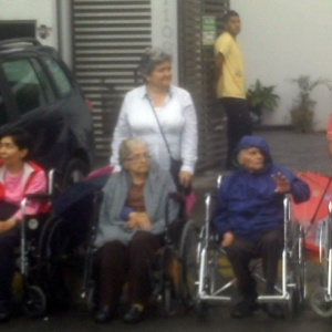 desfile